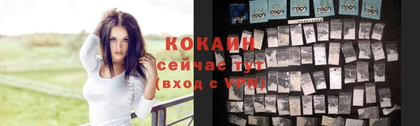 ешки Новокубанск