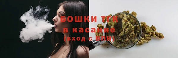 spice Новодвинск