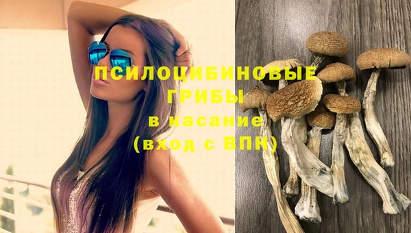 spice Новодвинск