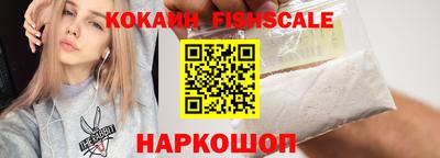 тгк Гай