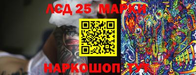 гидропоника Бийск