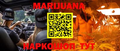 тгк Гай