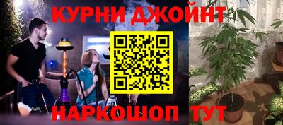 тгк Гай