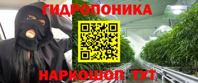 тгк Гай