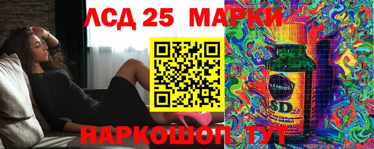 Наркотические марки 1500мкг  Вход с VPN  Наркотические марки 1500мкг  Кимовск 