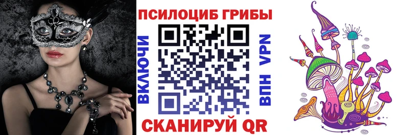 даркнет сайт  МЕГА сайт  Псилоцибиновые грибы Psilocybine cubensis  Кимовск 