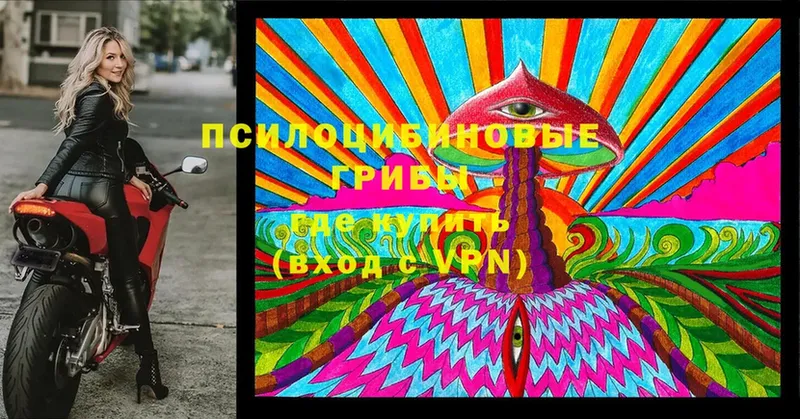 Псилоцибиновые грибы MAGIC MUSHROOMS  как найти закладки  Кимовск 