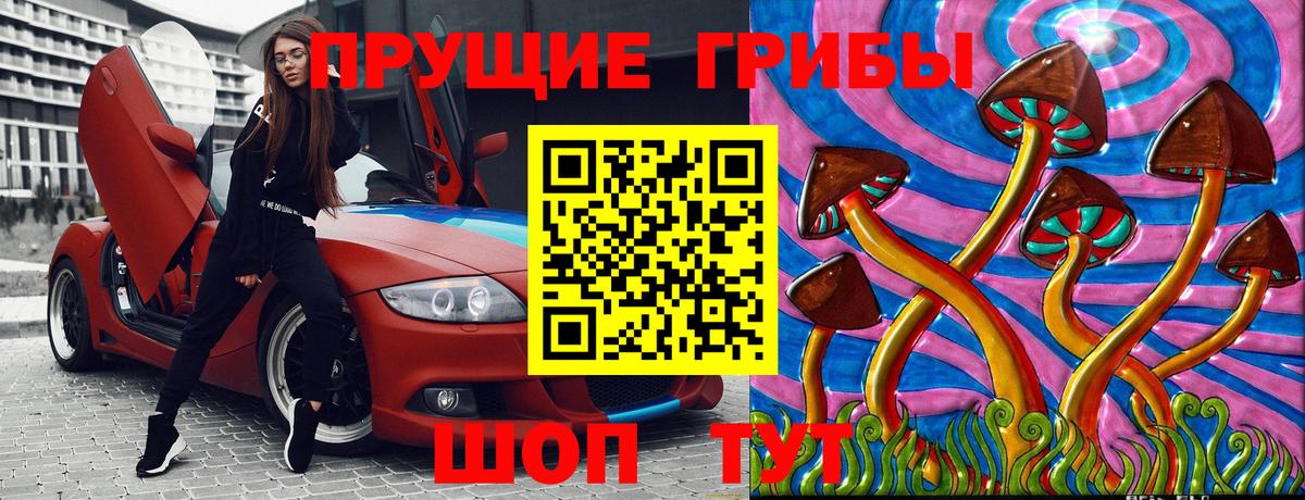Галлюциногенные грибы Psilocybe Кимовск
