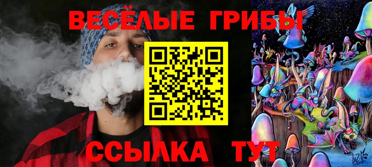 Псилоцибиновые грибы Psilocybe  Вход с VPN  цена   Кимовск 